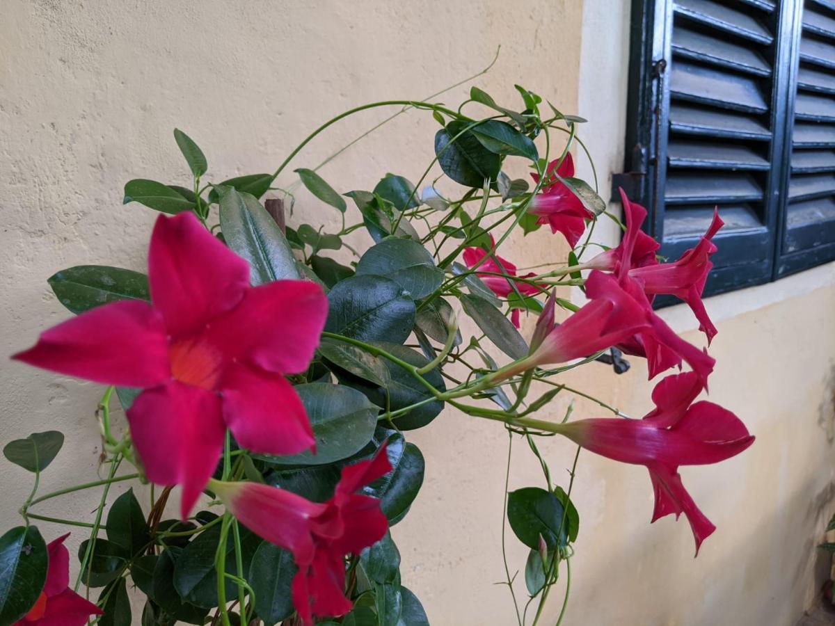 B&B Casa Marconi Πίζα Εξωτερικό φωτογραφία