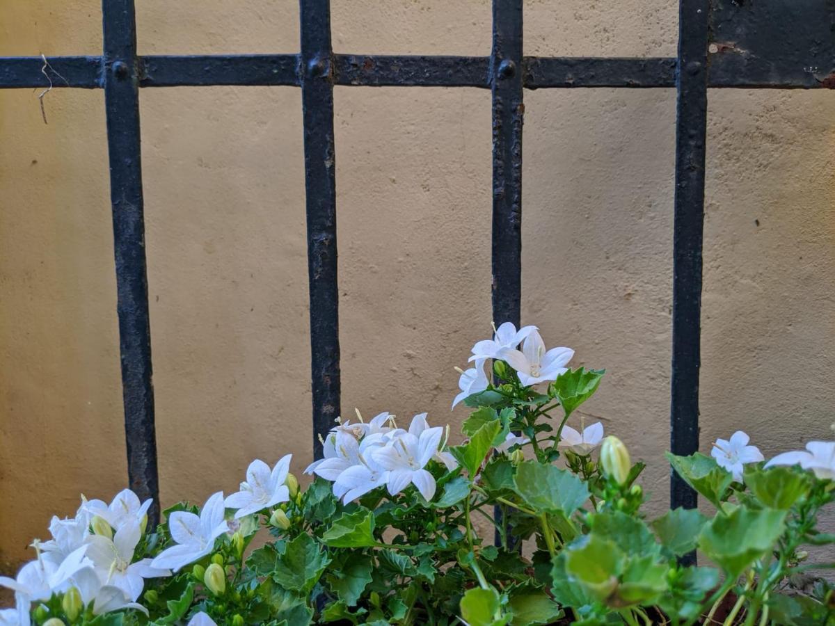 B&B Casa Marconi Πίζα Εξωτερικό φωτογραφία